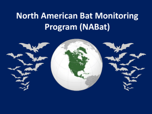 North American Bat Monitoring Program (NABat)