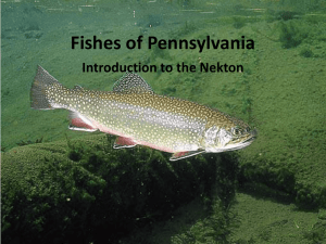 Aquatic Vertebrates of Pennsylvania