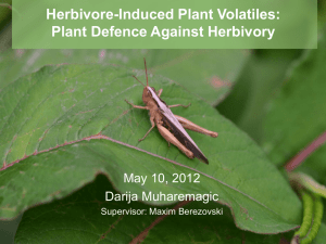 Herbivore-Induced Plant Volatiles