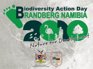 Brandberg_B-Day_and_Ecosystem_Services - biodiversity