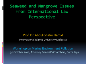 Seaweed and Mangrove Issues from International Law Perspective