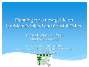 Inland and Coastal Fishes of Louisiana