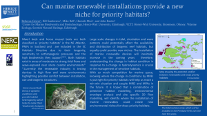 Can marine renewable installations provide a new niche