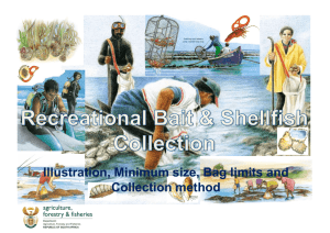 Recreational Bait Collection