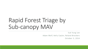 Rapid Forest Triage by Sub