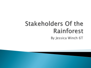 Stakeholders In the Rainforest