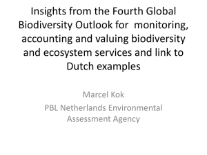 Insights from the Fourth Global Biodiversity Outlook for monitoring