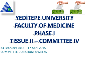 Introduction to IV. Committee - Yeditepe University Faculty of