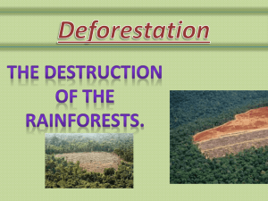 deforestation power point presentation Fiona