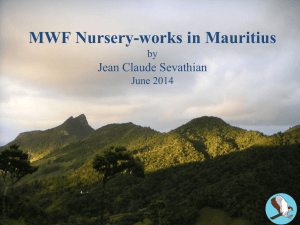 MWF Nusery-works in Mauritius by Jean Claude Sevathian June 2014