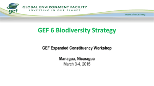 GEF 6 Biodiversity, Land degradation, Sustainable Forest