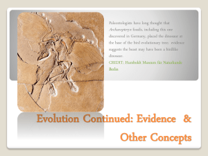 Fossils As Evidence for Evolution