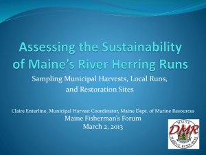 Assessing the Sustainability of Maine`s River Herring Runs