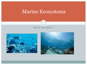 Marine and Freshwater Biomes PowerPoint
