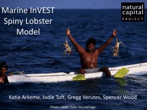 Marine InVEST spiny lobster model for Belize
