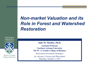 What is Non-market valuation?