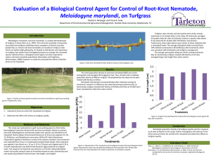 Evaluation of a Biological Control Agent for Control of Root