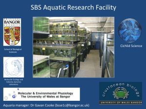 Bramble Freshwater aquarium - Molecular Ecology and Fisheries