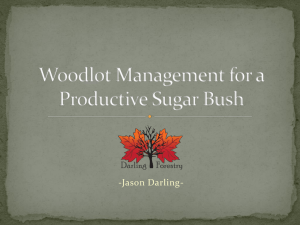Woodlot Management for a Productive Sugar Bush