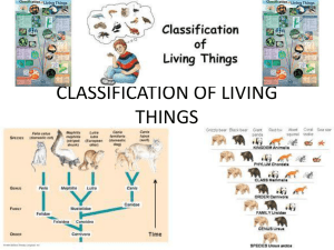 chapter 7 - classification of living things