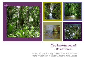 The Importance of Rainforests - i