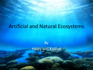 Artificial and Natural Ecosystems
