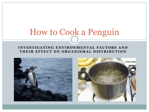 How to Cook a Penguin2