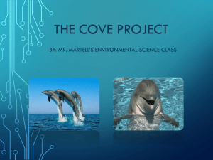 The Cove Project