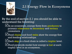 2.1 Energy Flow in Ecosystems