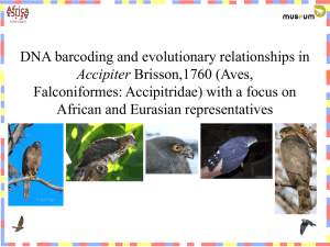 DNA barcoding and phylogeny reconstruction