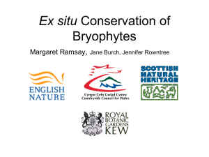 Ex situ Conservation of Bryophytes