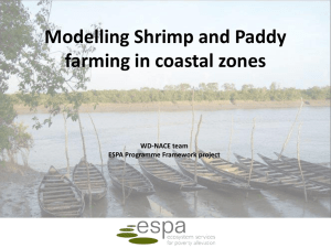 Modelling Shrimp and Paddy farming in coastal zones