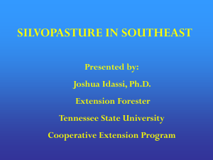 Chapter 5: Silvopasture in Southeast