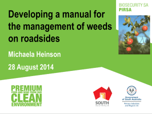 Developing a manual for the management of weeds on roadsides