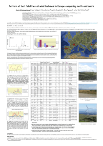 Pattern of bat fatalities at wind turbines in Europe