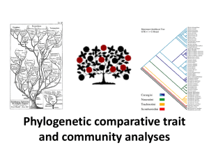 Phylogenies