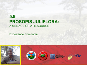 5.9 Management of Prosopis Juliflora