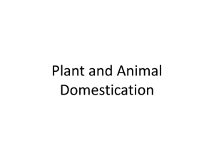 Plant and Animal Domestication
