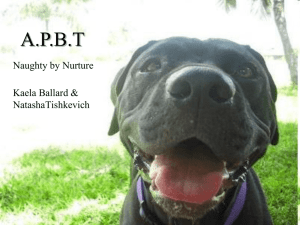 Virtual Pet Behaviorist: The Truth about Pit Bulls