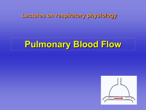 Pulmonary Blood Flow