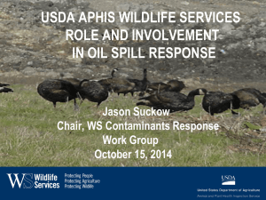 USDA APHIS Wildlife Services Role and Involvement in Oil Spill