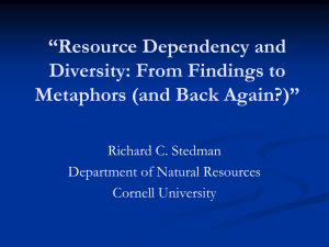 Resource Dependency and Diversity: From Findings to Metaphors