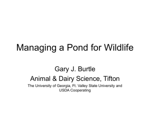 Managing a Pond for Wildlife