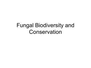 Fungal Biodiversity and Conservation