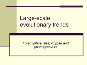 large_scale_evolutionary_trends