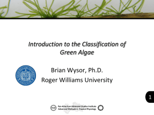 Introduction to the Classification of Green Algae