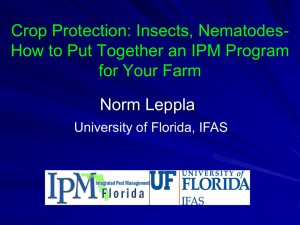 Crop Protection: Insects, Nematodes - IPM Florida