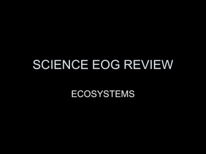 SCIENCE EOG REVIEW