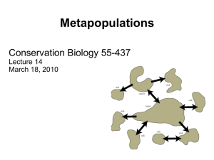 Metapopulations