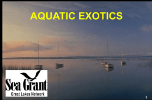 Aquatic Exotics